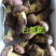 白葱菌白葱菌粉菌见手青牛肝菌精品