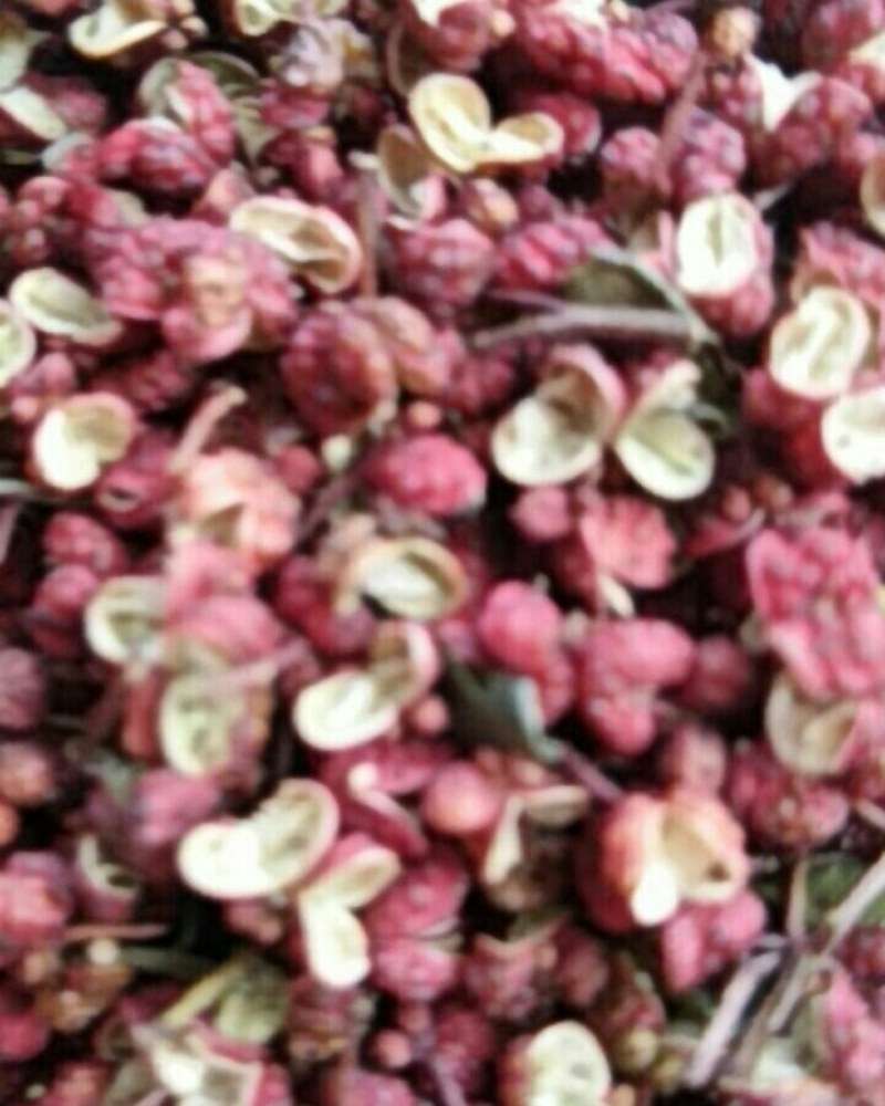 陇南文县大红袍花椒大量上市