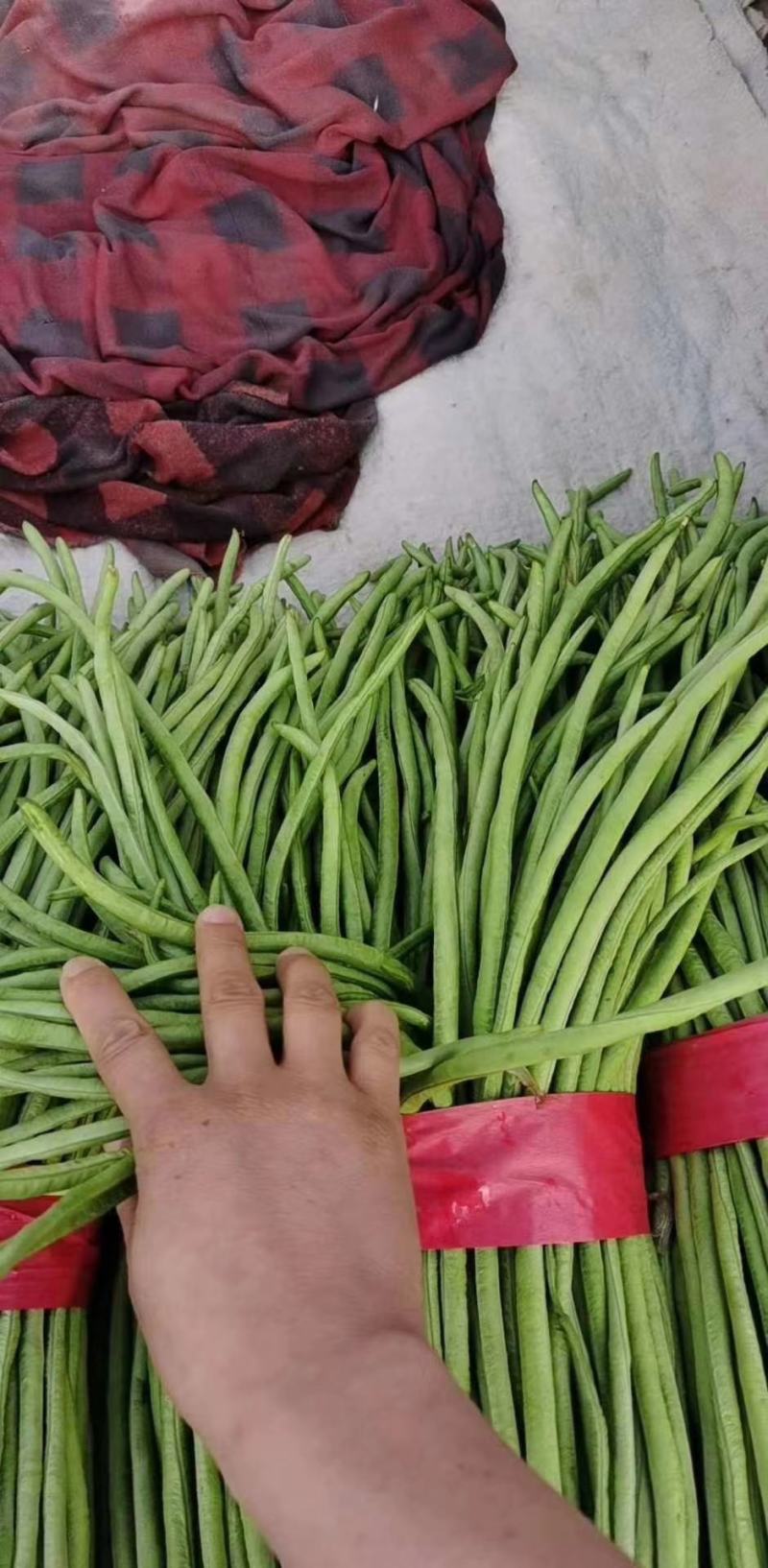 本地精品长豆角，质量有保证，产地真供，专业包装团队