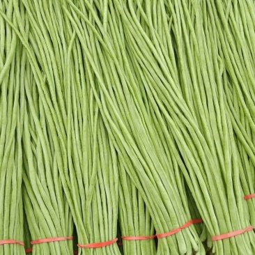 本地精品长豆角，质量有保证，产地真供，专业包装团队