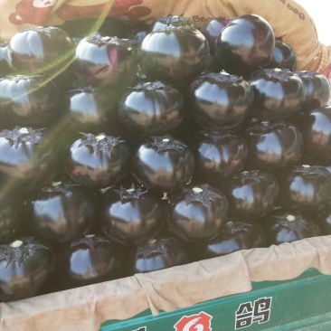 本地精品,圆茄,质量有保证,产地真供,专业包装,