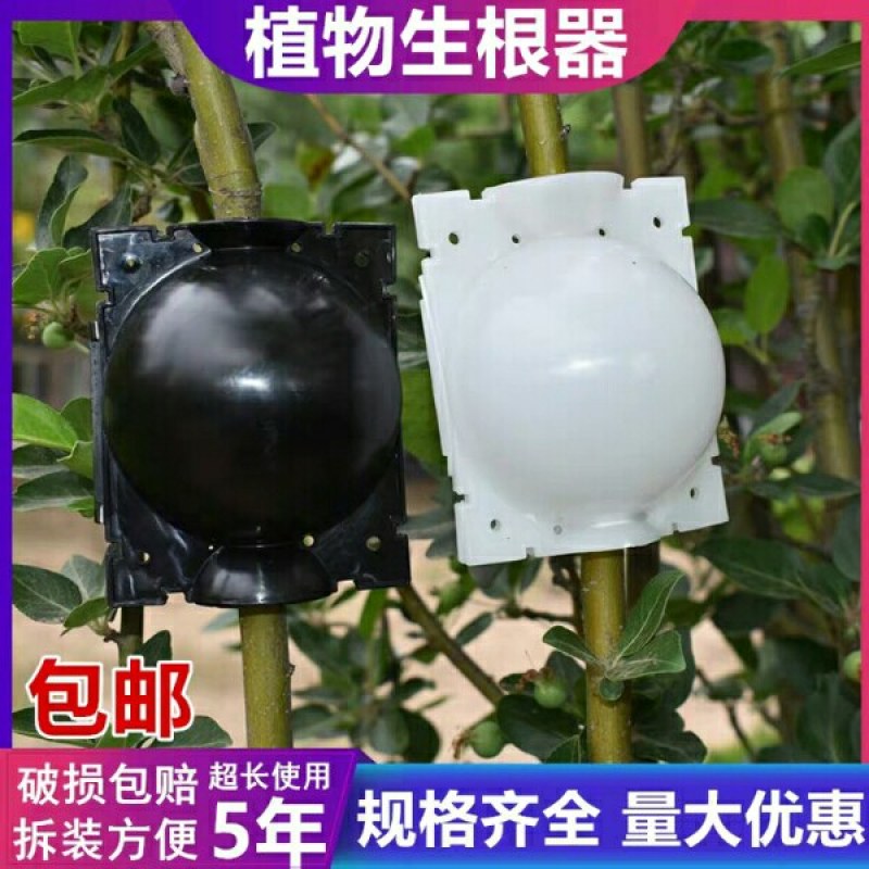 高压生根盒名贵苗木高枝营养盘生根器分株繁殖快生根