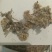 鼠曲草，正品野生鼠曲草佛耳草，质量保证！经营各种中药材！
