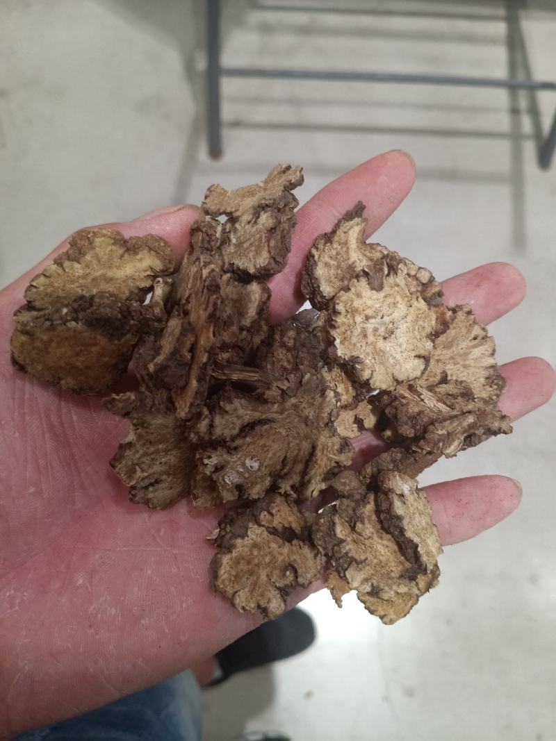 川芎，道地中药川芎片，质量保证！欢迎咨询选购！