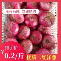 【热卖】优质甘肃红皮洋葱供货量大产地直供欢迎全国选购