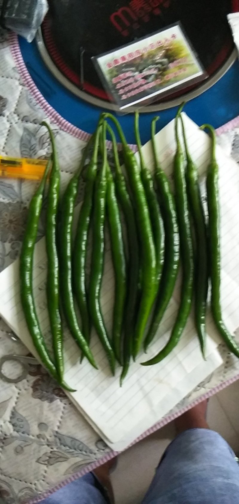 鲜辣椒红椒量大有冷库一条龙服务
