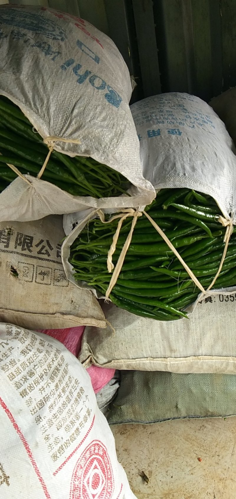 鲜辣椒红椒量大有冷库一条龙服务