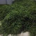 鲜辣椒红椒量大有冷库一条龙服务