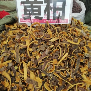 四川黄柏，黄柏丝黄柏中药材正品川黄柏片黄柏树皮