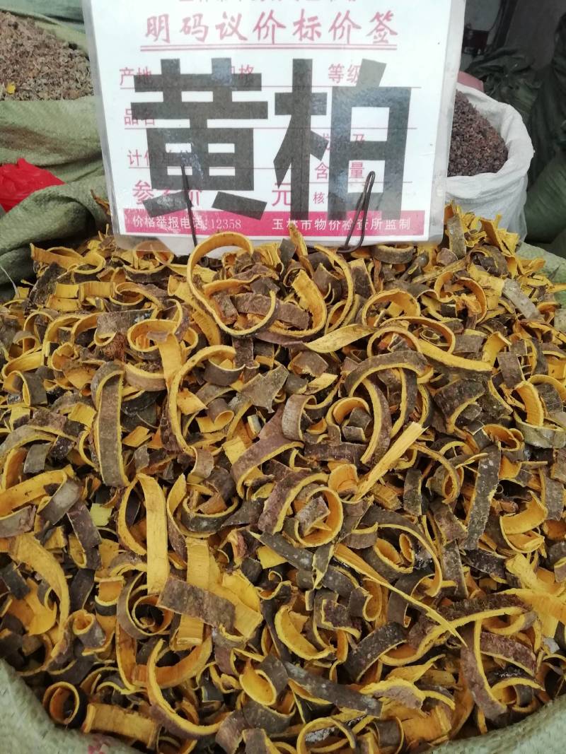 四川黄柏，黄柏丝黄柏中药材正品川黄柏片黄柏树皮