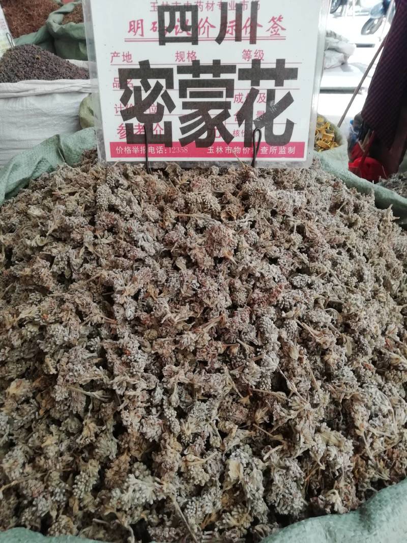 四川密蒙花野生密蒙花新货密蒙花中药材密蒙花蜜