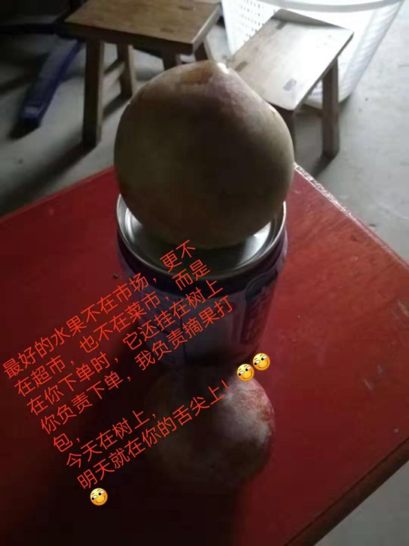江南名果桃形李