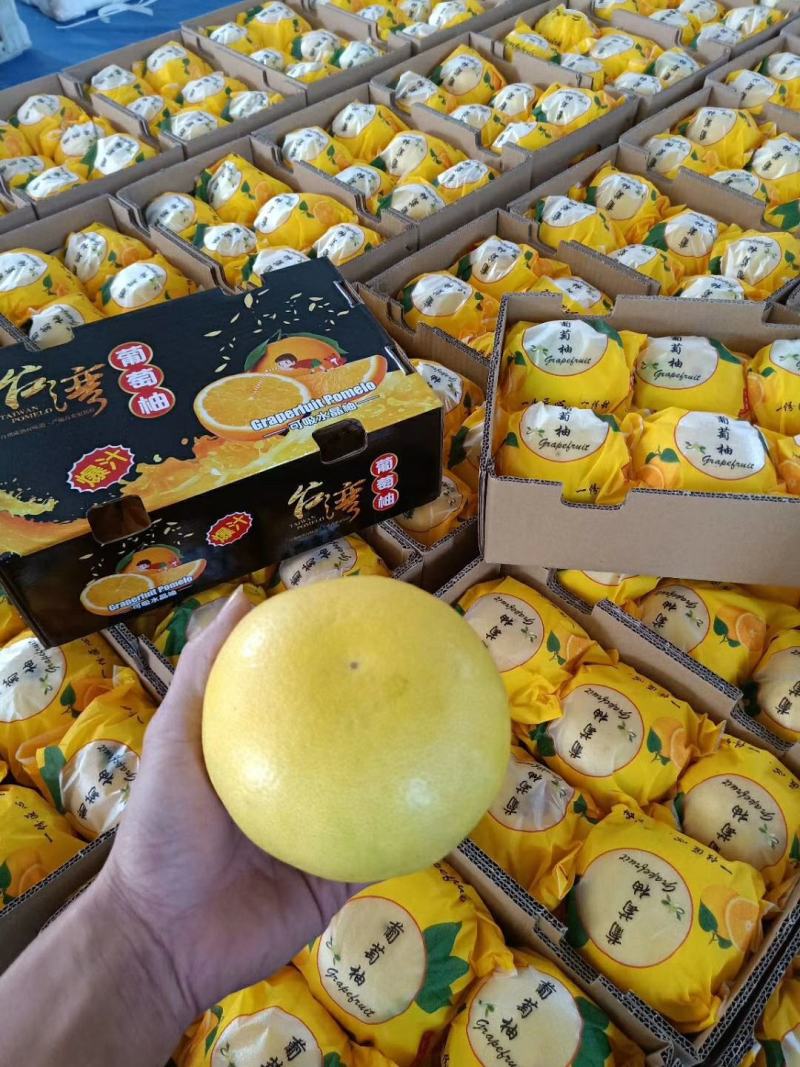 现货精品爆汁葡萄柚纯甜葡萄柚产地直销支持代发