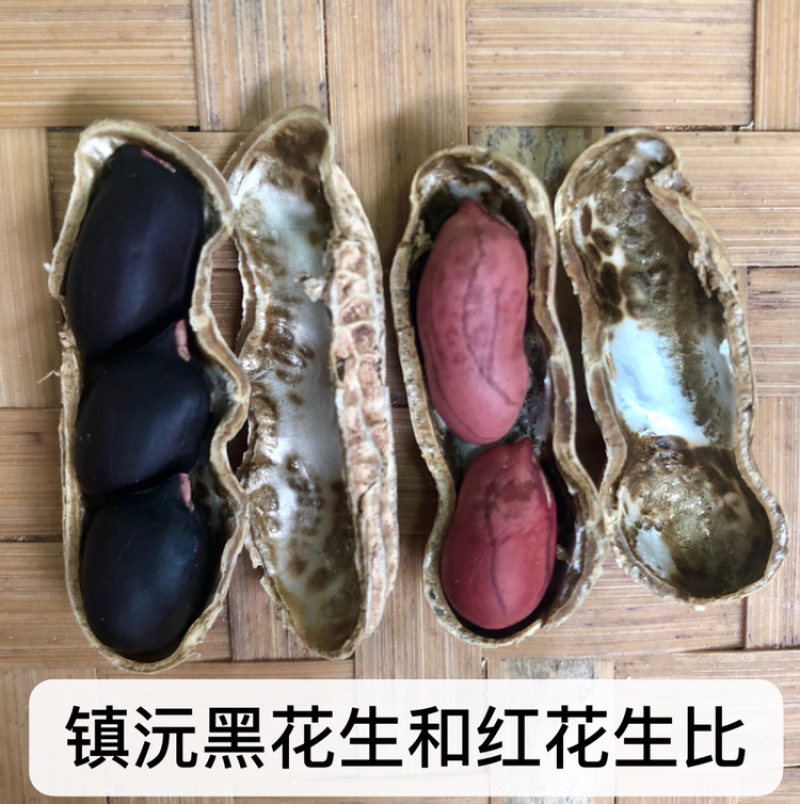 2024年新货云南普洱镇沅黑花生老品种小粒黑花生
