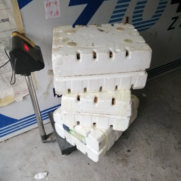 白玉蜗牛