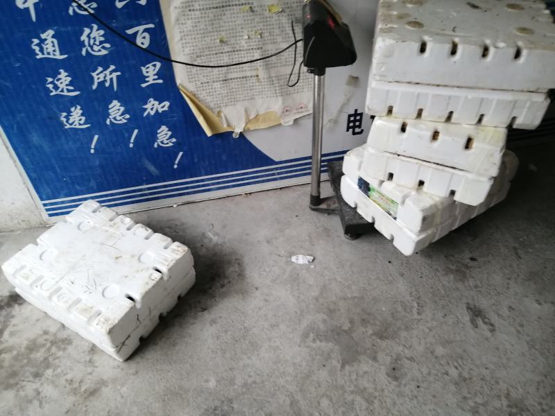 白玉蜗牛