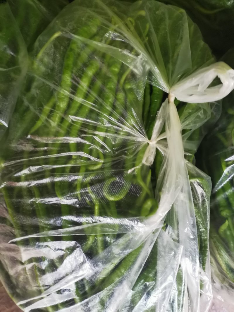 精品青线黄线大量供应加工厂用线椒大量供应