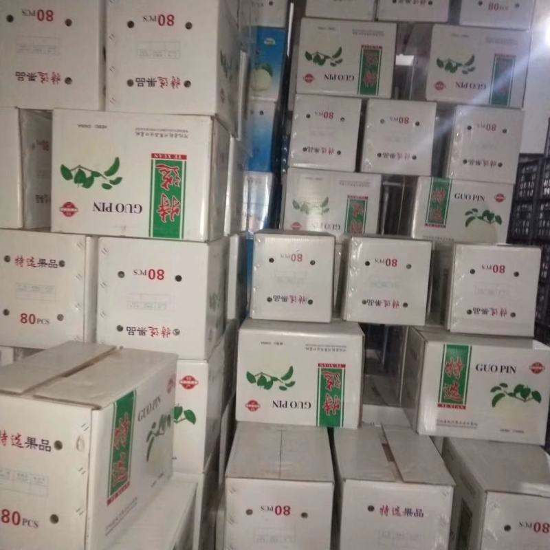 【精品】山东皇冠梨，冠县万亩梨园基地，脆甜多汁欢迎咨询