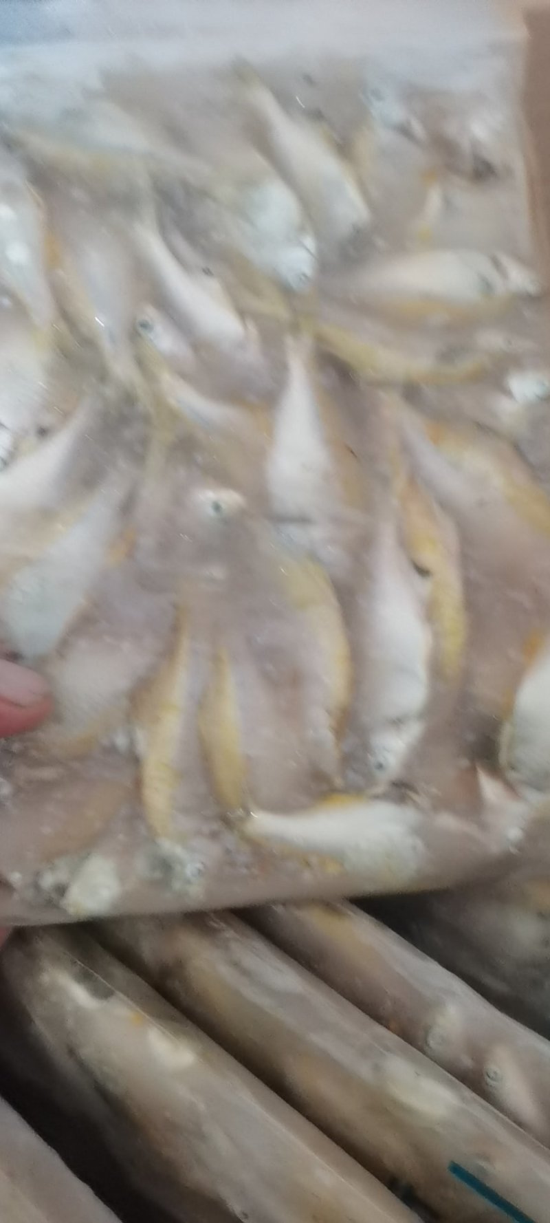 虾类