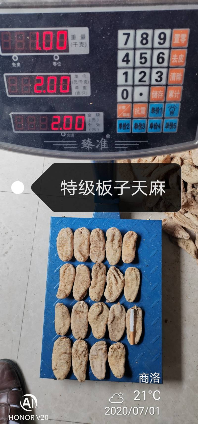【特价促销，无硫短支甜味】秦岭高山天麻，品质保证