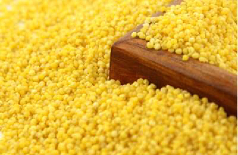 山东蒙阴蒙山小米香甜可口沂蒙山区丘陵沙质土壤种植粘度高