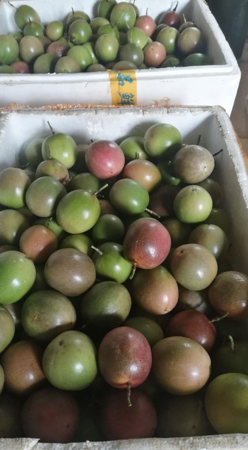 赣南农家肥生态种植百香果，一件代发，品质保证