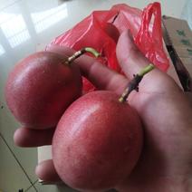赣南农家肥生态种植百香果，一件，品质保证