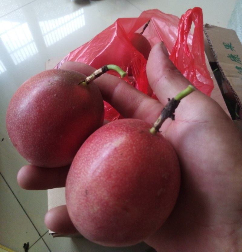 赣南农家肥生态种植百香果，一件代发，品质保证