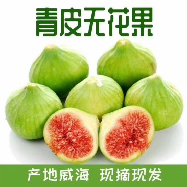 威海荣成特产一件代发威海青皮无花果产地直供