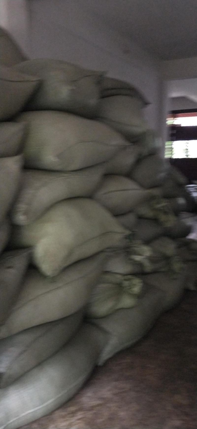 苦丁茶老叶片干片，产地四川一手货源量大从优。