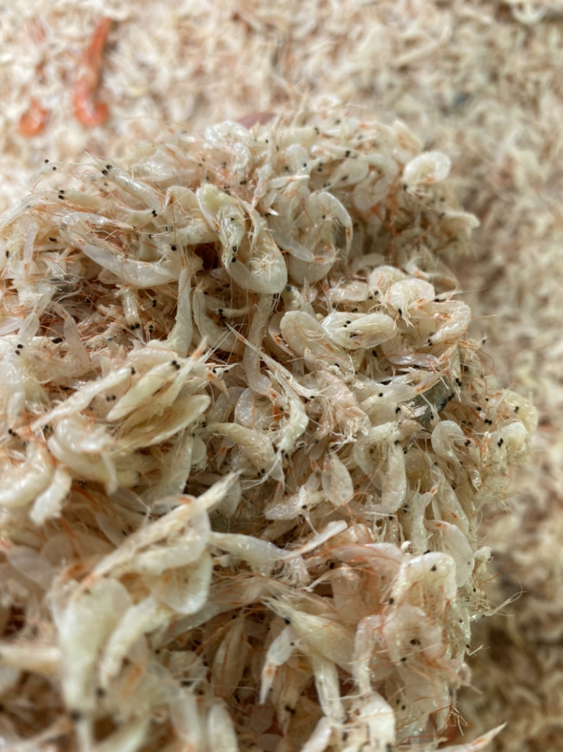 渤海湾虾皮（今年的新货，中板，小中板）质量保证