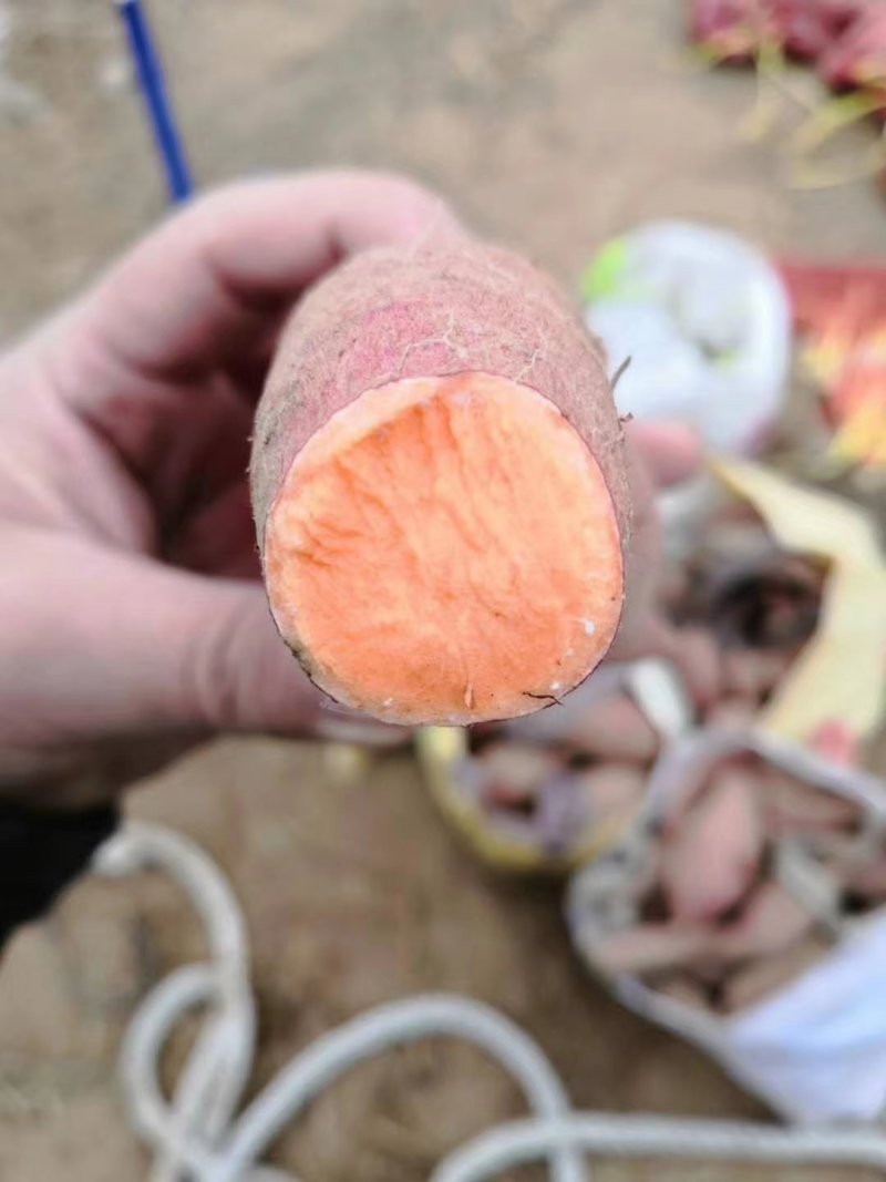 威海荣成蜂蜜罐地瓜干红薯干蜜薯干软糯香甜无坏无硬质量保证