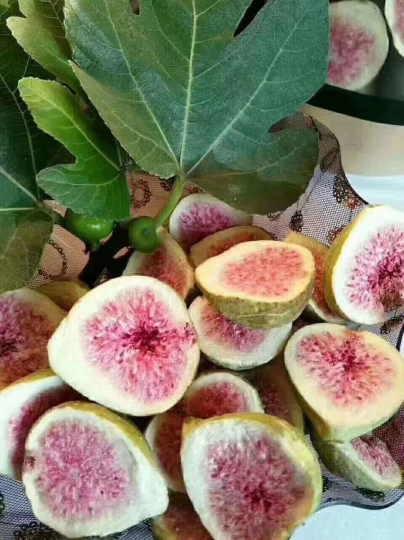 威海荣成特产青皮无花果果干烘干晒干冻干