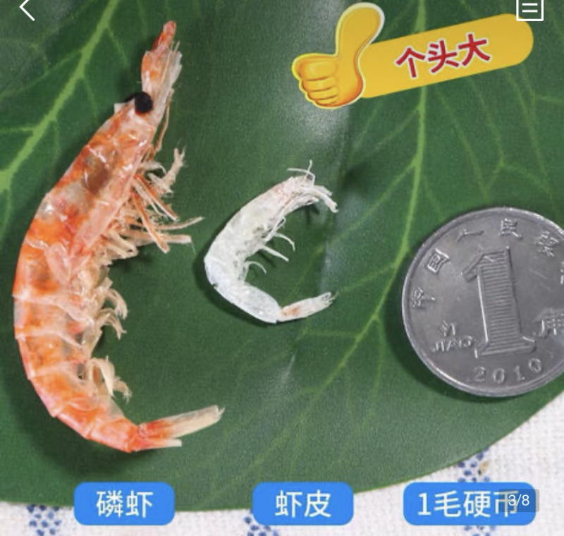南极磷虾（干度好，盐分低）质量保证全国发货