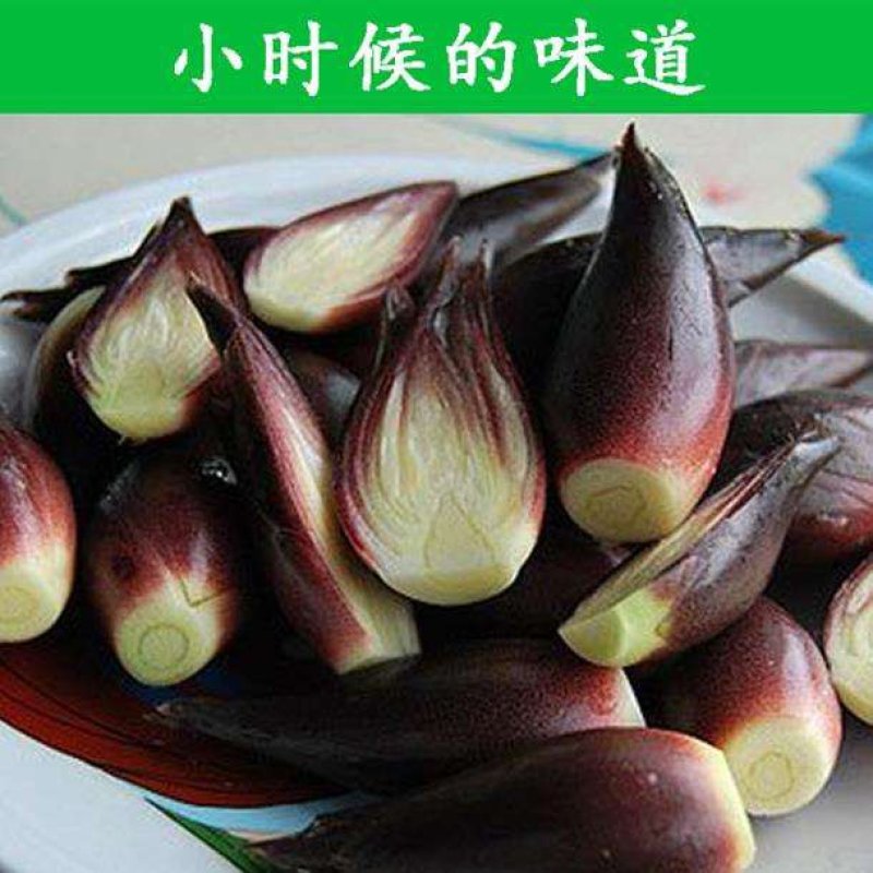 西岭雪山阳合，洋合，洋菏，阳荷笋纯野生，十斤起，量大从优