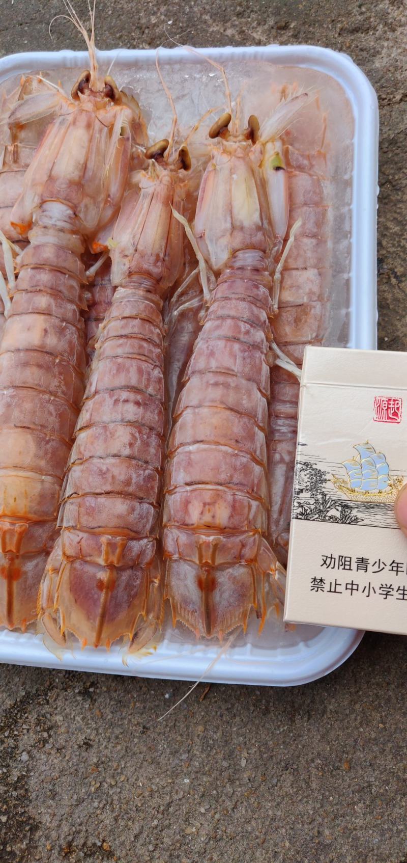 网红皮皮虾，个个都是满肉的