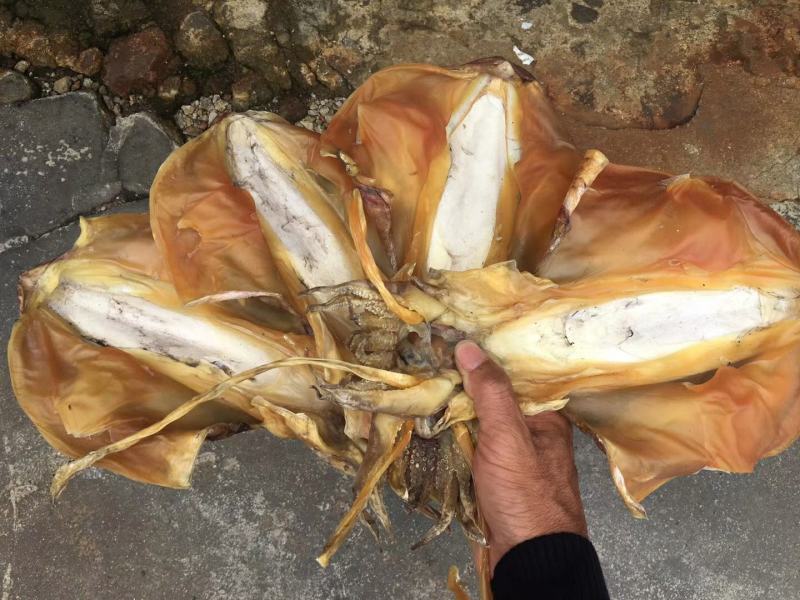 北海墨鱼干，自家加工厂出品