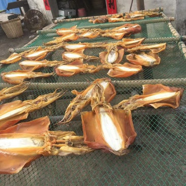 北海墨鱼干，自家加工厂出品