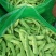 大量供应吉林豆角.油豆角