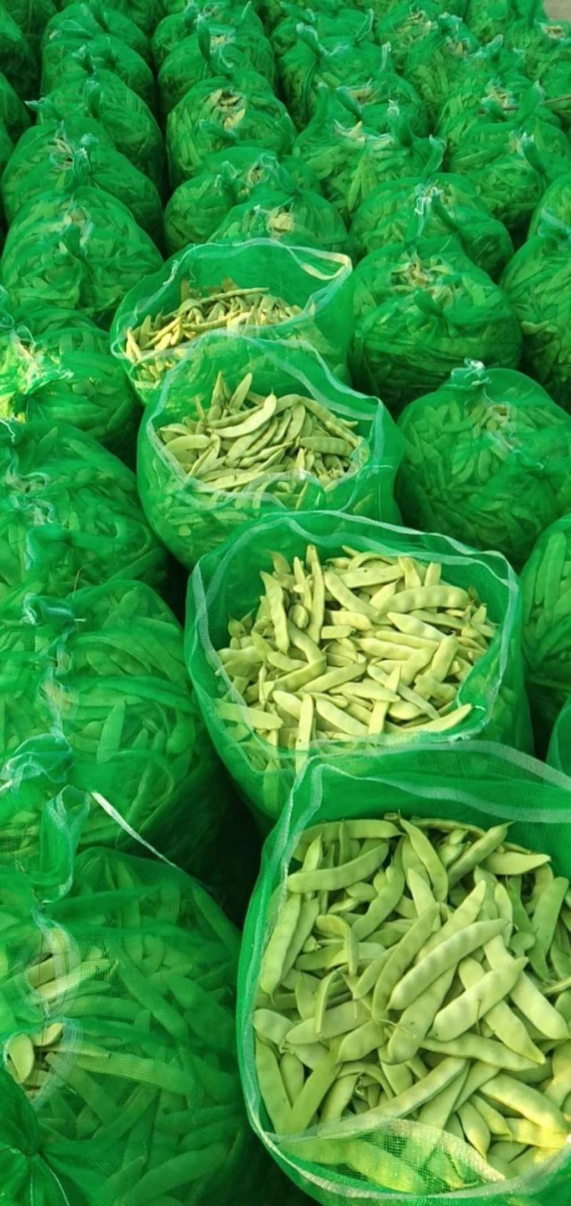 大量供应吉林豆角.油豆角