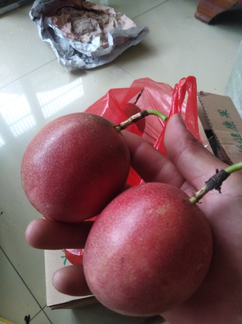 赣南生态种植商超精品店专供百香果