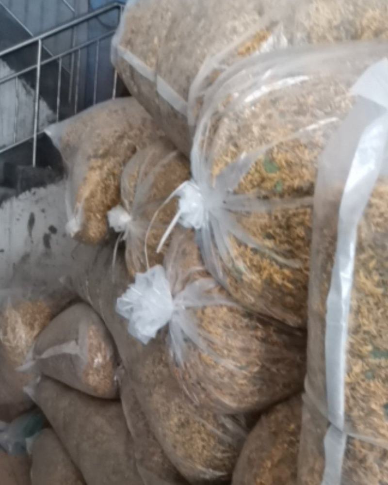 金银花开花