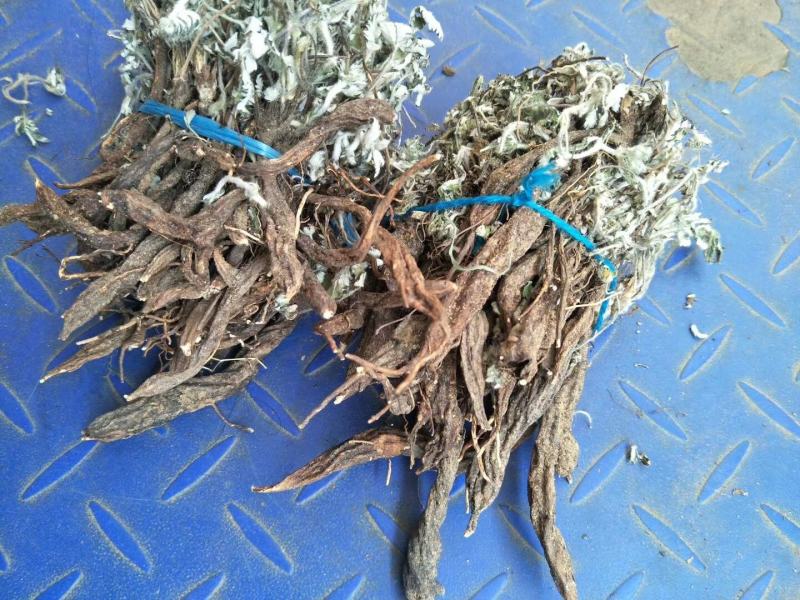 翻白草一斤起售，量大优惠