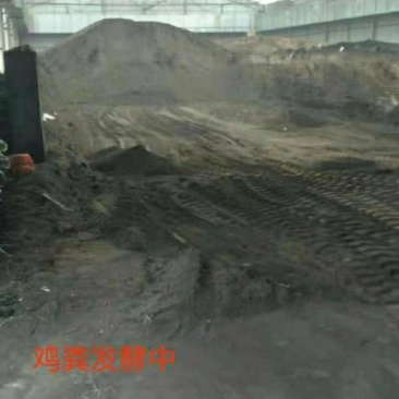 厂家批发有机肥发酵鸡粪干鸡粪欢迎咨询