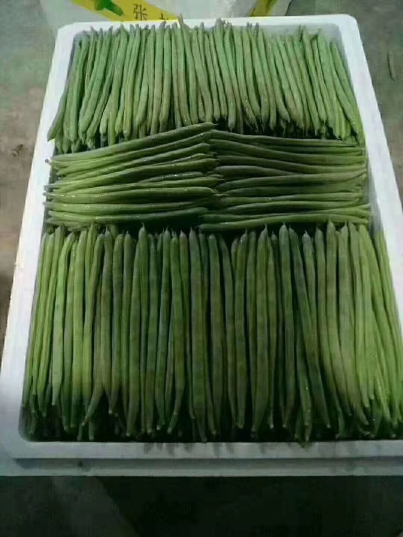 云南精品小金豆批发市场