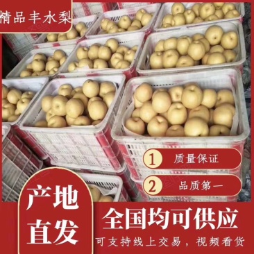 优质纸袋丰水梨/承接各种订单，批发一件代发社区团购丰水梨