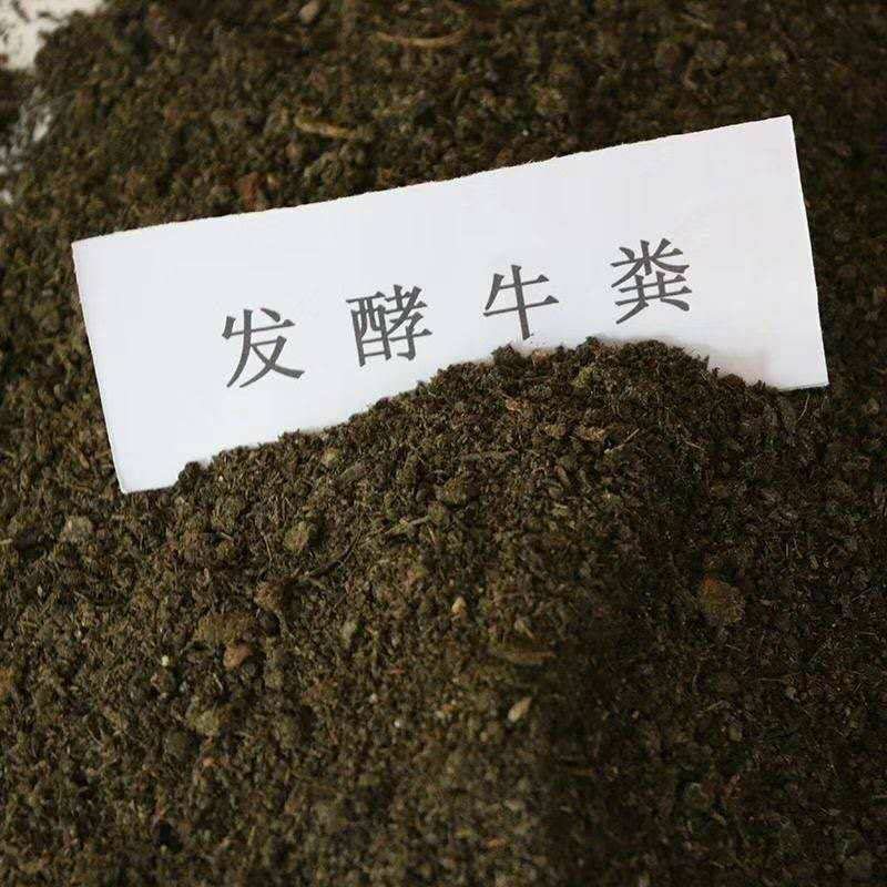 厂家批发供应牛粪发酵牛粪