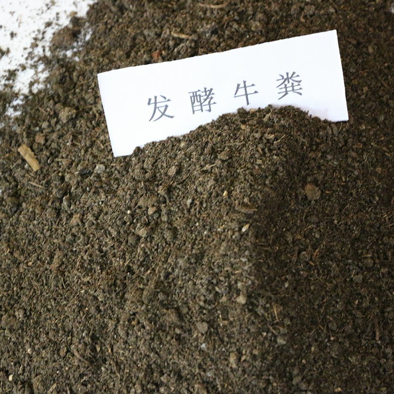 厂家批发供应牛粪发酵牛粪