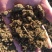 厂家批发供应牛粪发酵牛粪