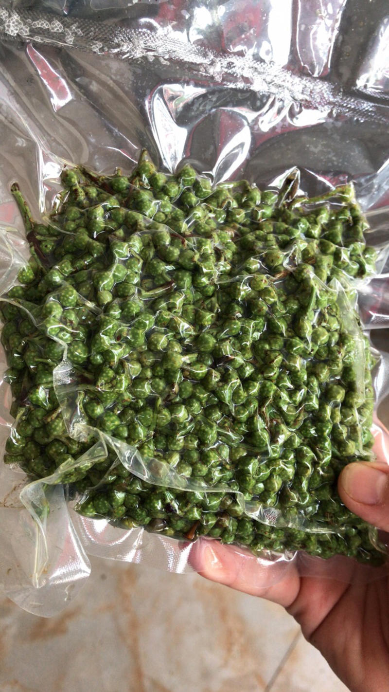 保鲜花椒青麻椒色泽清秀，颗粒饱满基地直发货源充足一件代发